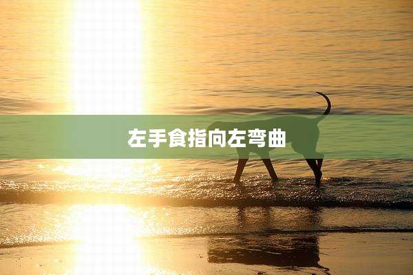 左手食指向左弯曲