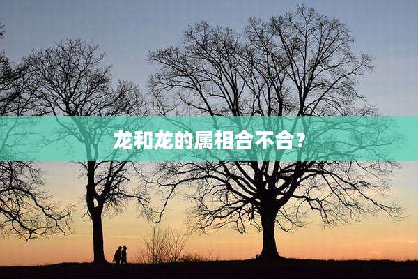 龙和龙的属相合不合?