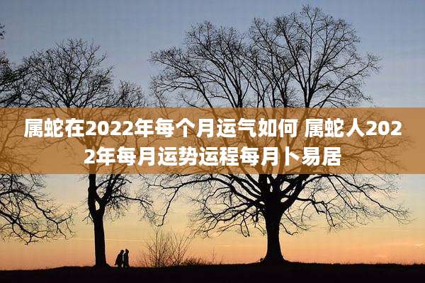 属蛇在2022年每个月运气如何 属蛇人2022年每月运势运程每月卜易居