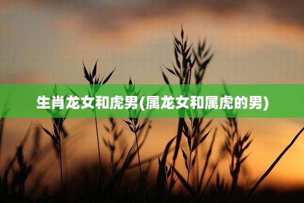 生肖龙女和虎男(属龙女和属虎的男)