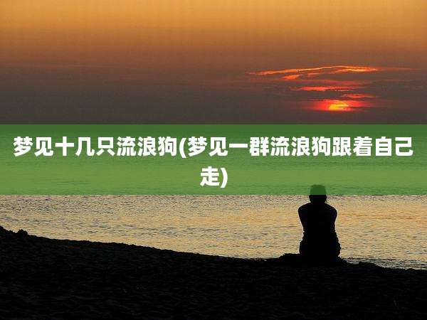 梦见十几只流浪狗(梦见一群流浪狗跟着自己走)