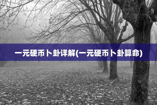 一元硬币卜卦详解(一元硬币卜卦算命)