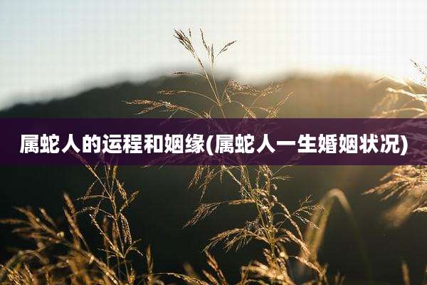 属蛇人的运程和姻缘(属蛇人一生婚姻状况)
