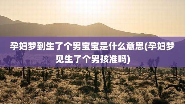 孕妇梦到生了个男宝宝是什么意思(孕妇梦见生了个男孩准吗)