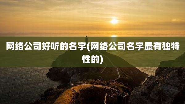 网络公司好听的名字(网络公司名字最有独特性的)