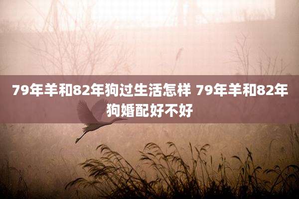 79年羊和82年狗过生活怎样 79年羊和82年狗婚配好不好