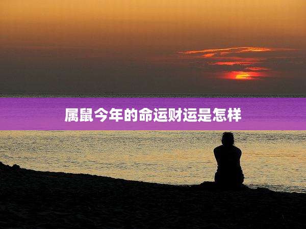 属鼠今年的命运财运是怎样