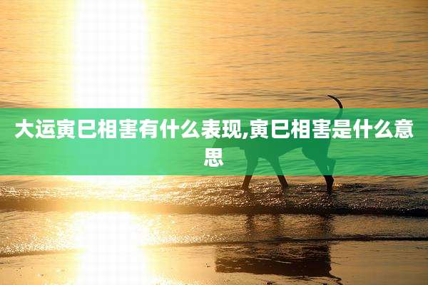 大运寅巳相害有什么表现,寅巳相害是什么意思