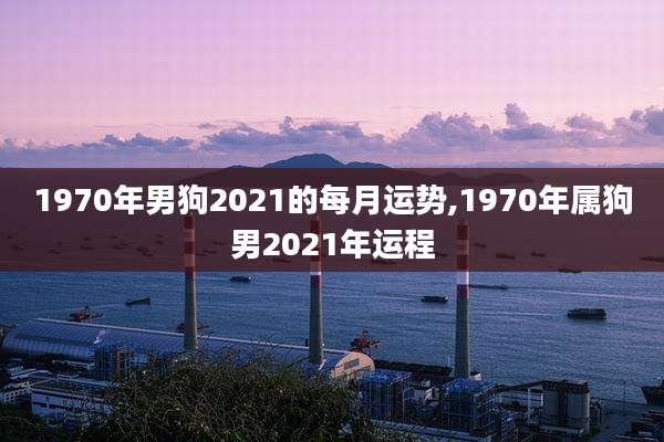 1970年男狗2021的每月运势,1970年属狗男2021年运程
