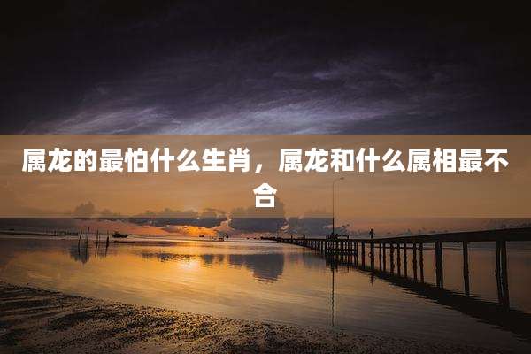 属龙的最怕什么生肖，属龙和什么属相最不合