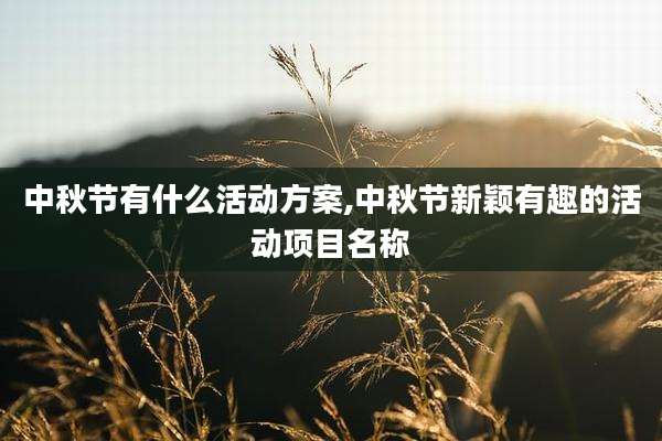 中秋节有什么活动方案,中秋节新颖有趣的活动项目名称