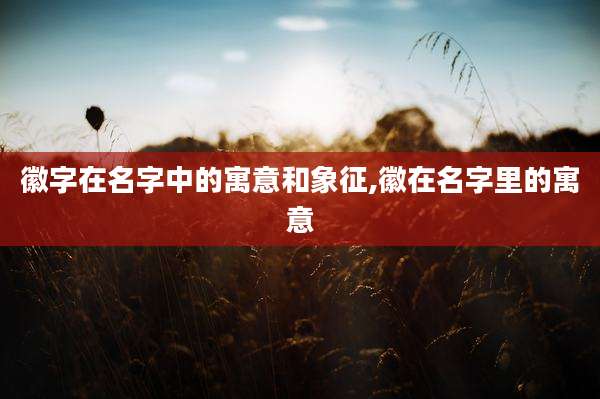 徽字在名字中的寓意和象征,徽在名字里的寓意