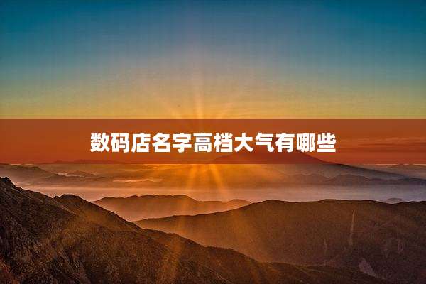 数码店名字高档大气有哪些