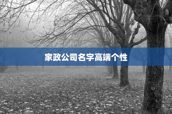 家政公司名字高端个性