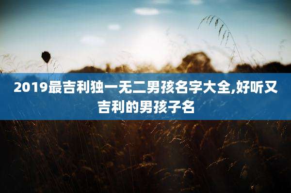 2019最吉利独一无二男孩名字大全,好听又吉利的男孩子名