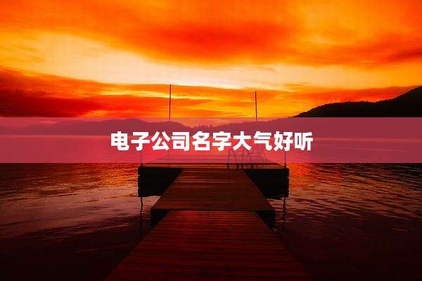 电子公司名字大气好听