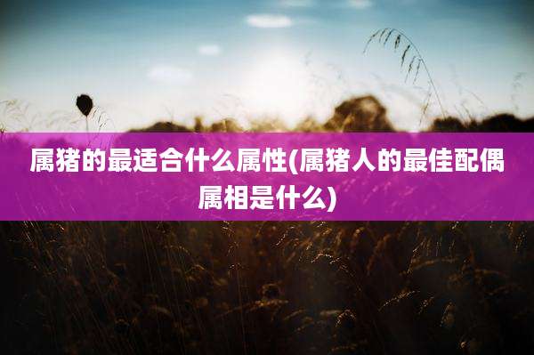 属猪的最适合什么属性(属猪人的最佳配偶属相是什么)