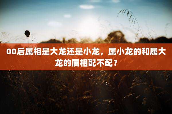 00后属相是大龙还是小龙,属小龙的和属大龙的属相配不配?