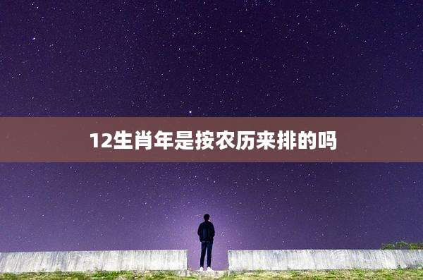 12生肖年是按农历来排的吗