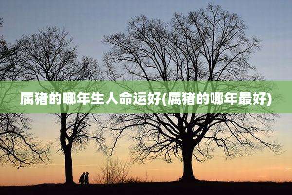 属猪的哪年生人命运好(属猪的哪年最好)