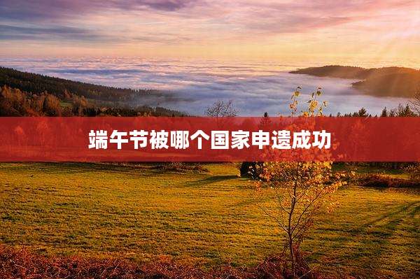 端午节被哪个国家申遗成功