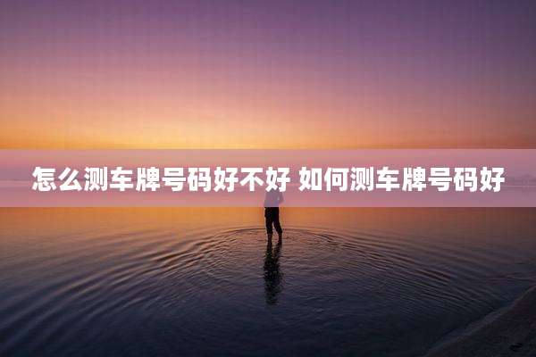 怎么测车牌号码好不好 如何测车牌号码好