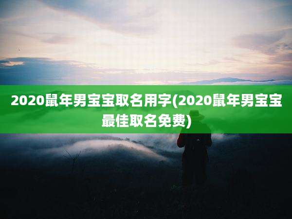 2020鼠年男宝宝取名用字(2020鼠年男宝宝最佳取名免费)