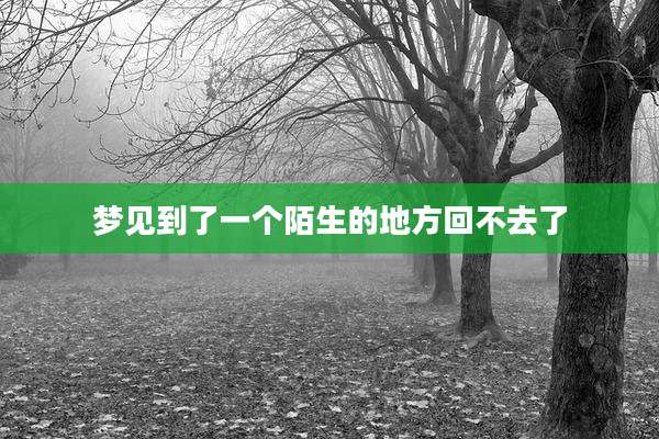 梦见到了一个陌生的地方回不去了
