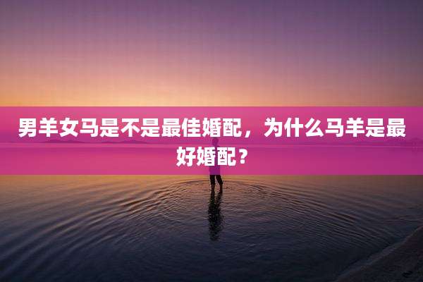 男羊女马是不是最佳婚配,为什么马羊是最好婚配?