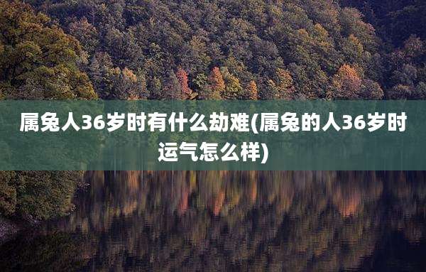 属兔人36岁时有什么劫难(属兔的人36岁时运气怎么样)