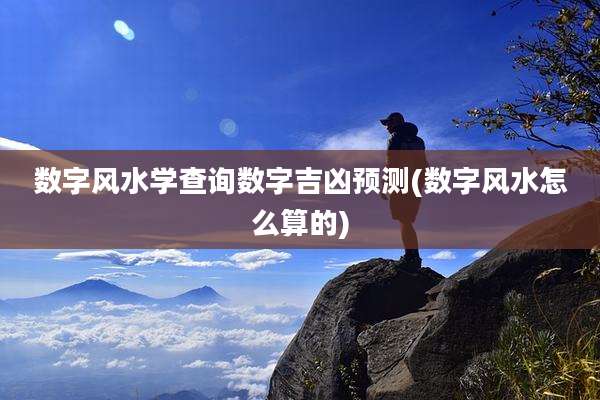 数字风水学查询数字吉凶预测(数字风水怎么算的)