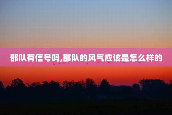 部队有信号吗,部队的风气应该是怎么样的