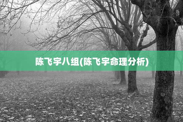 陈飞宇八组(陈飞宇命理分析)