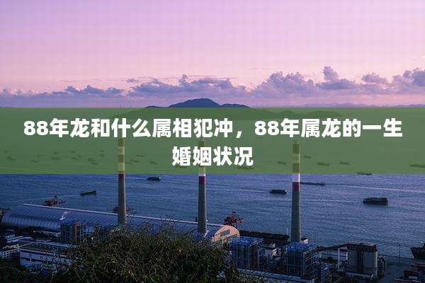 88年龙和什么属相犯冲,88年属龙的一生婚姻状况