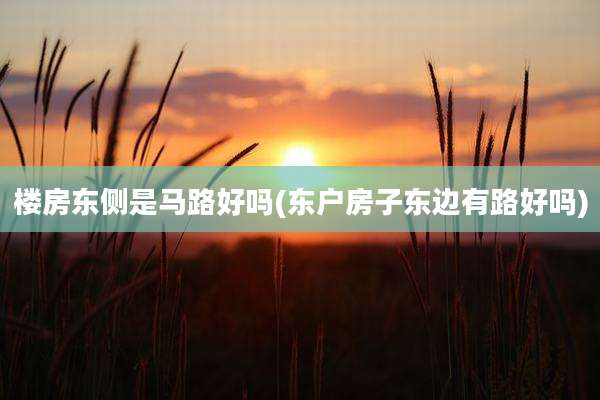 楼房东侧是马路好吗(东户房子东边有路好吗)