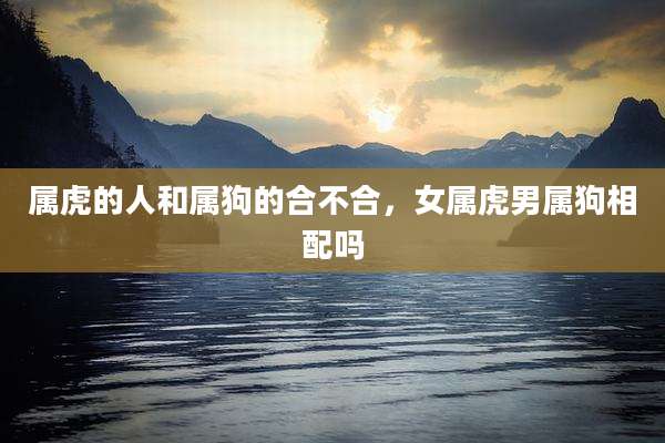 属虎的人和属狗的合不合,女属虎男属狗相配吗