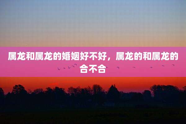 属龙和属龙的婚姻好不好,属龙的和属龙的合不合