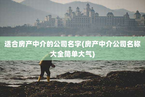 适合房产中介的公司名字(房产中介公司名称大全简单大气)