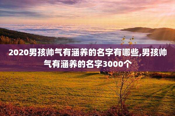 2020男孩帅气有涵养的名字有哪些,男孩帅气有涵养的名字3000个