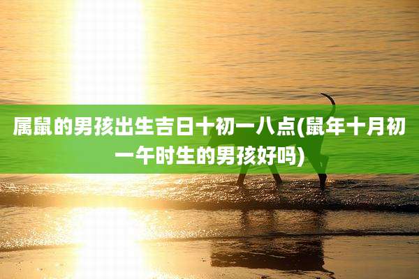 属鼠的男孩出生吉日十初一八点(鼠年十月初一午时生的男孩好吗)