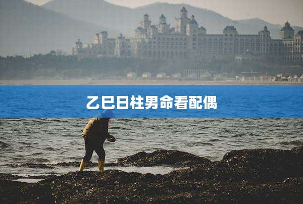 乙巳日柱男命看配偶
