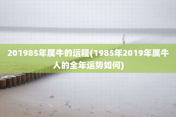 201985年属牛的运程(1985年2019年属牛人的全年运势如何)