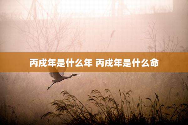 丙戌年是什么年 丙戍年是什么命