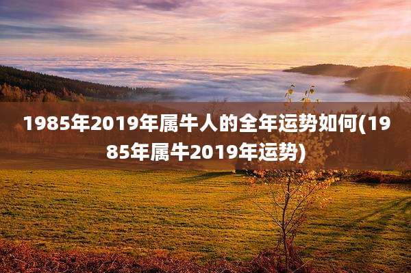 1985年2019年属牛人的全年运势如何(1985年属牛2019年运势)