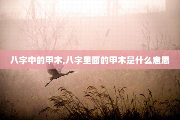 八字中的甲木,八字里面的甲木是什么意思