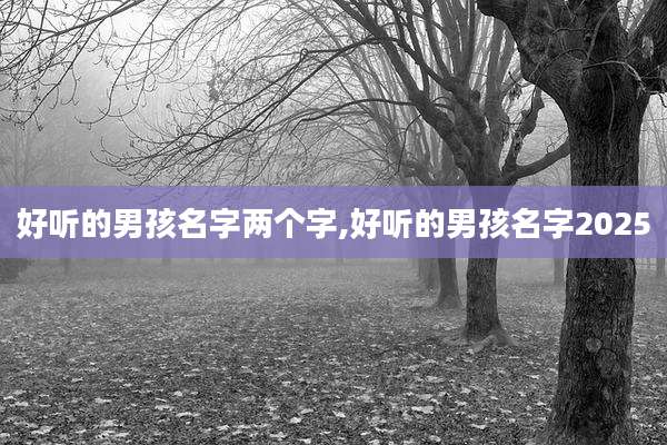 好听的男孩名字两个字,好听的男孩名字2025