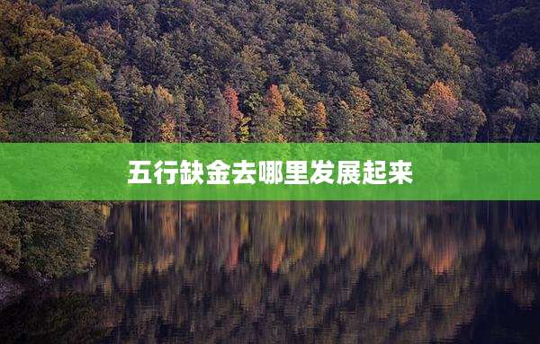 五行缺金去哪里发展起来