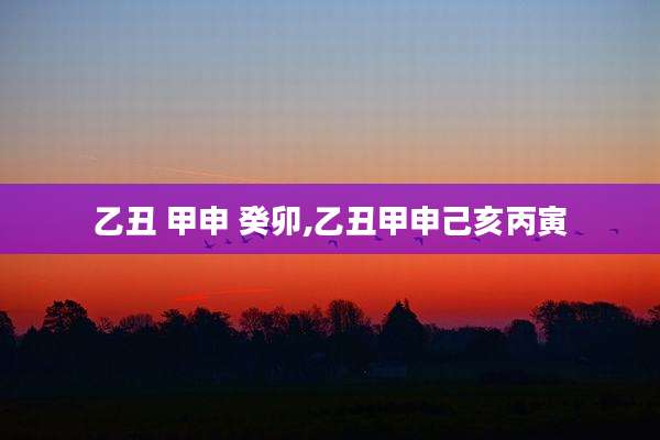 乙丑 甲申 癸卯,乙丑甲申己亥丙寅