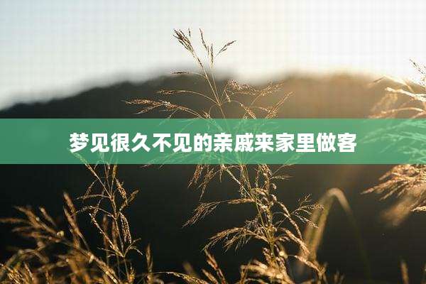 梦见很久不见的亲戚来家里做客