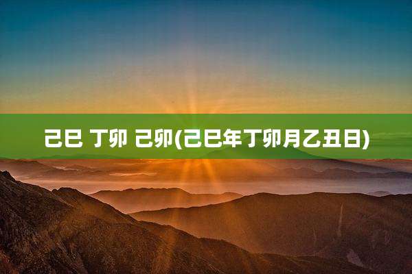 己巳 丁卯 己卯(己巳年丁卯月乙丑日)